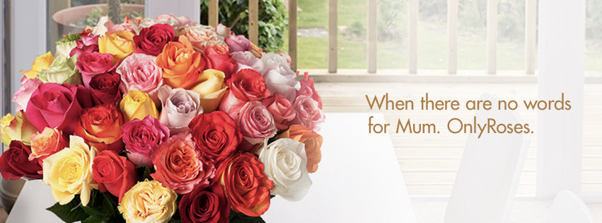 Mother's Day Roses