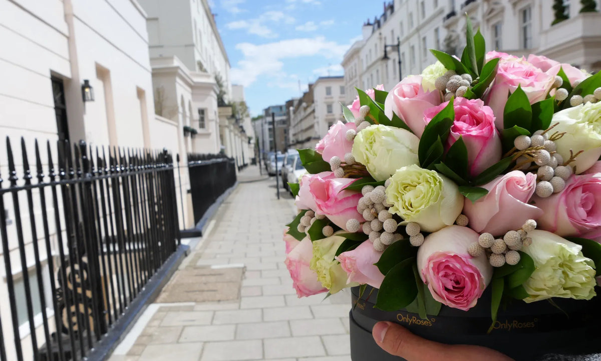 Spring Roses Uk It's Spring! | OnlyRoses UK