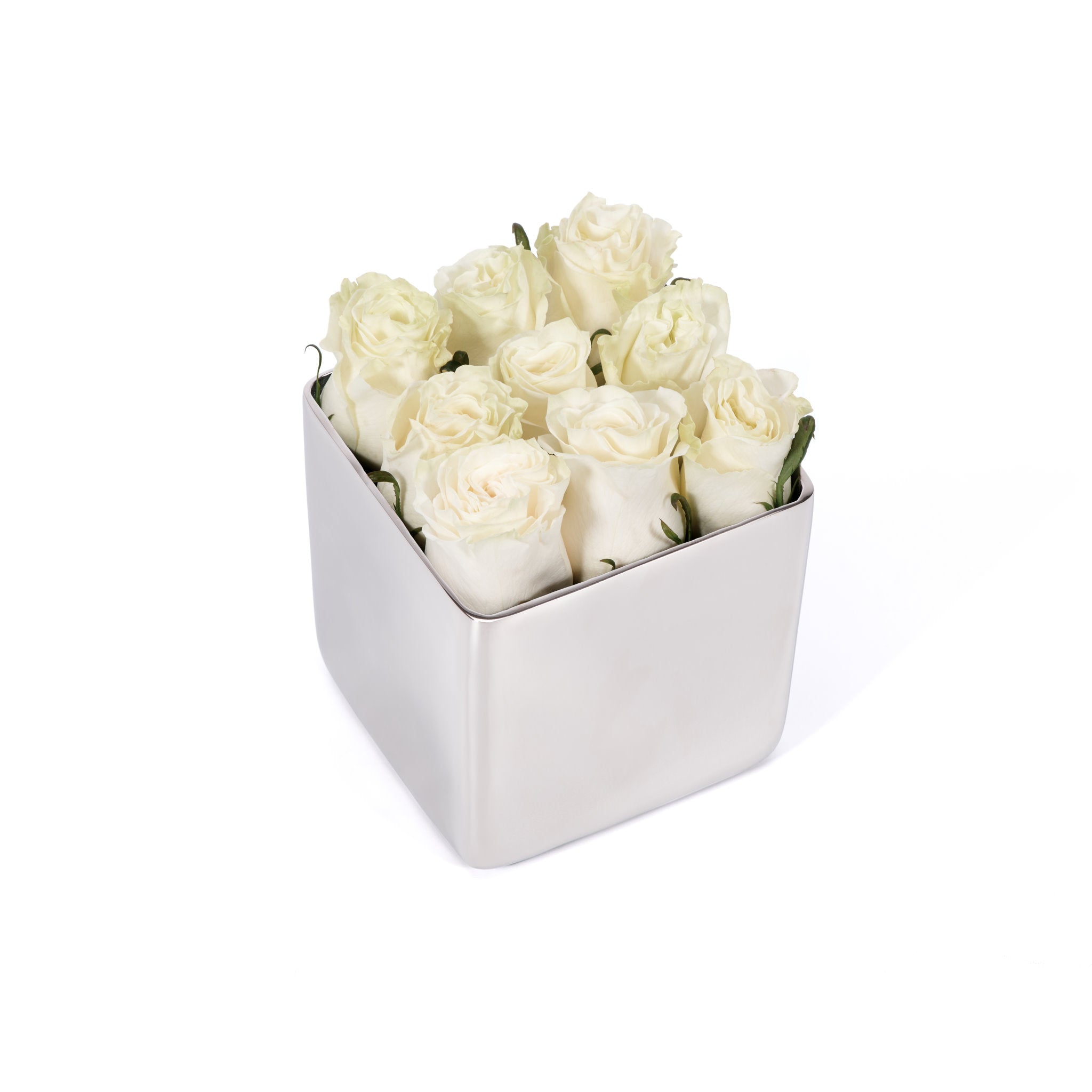 Classic Rose Silver Cube