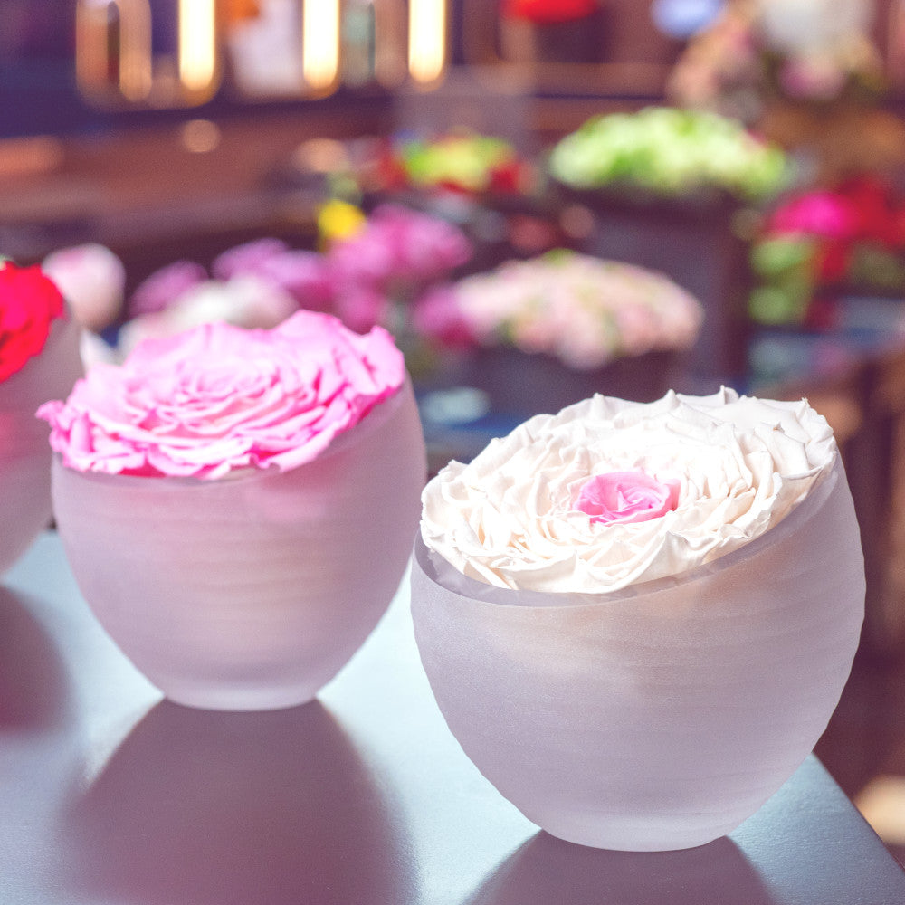 Forever Roses — Luxury Preserved Roses That Last Over a Year