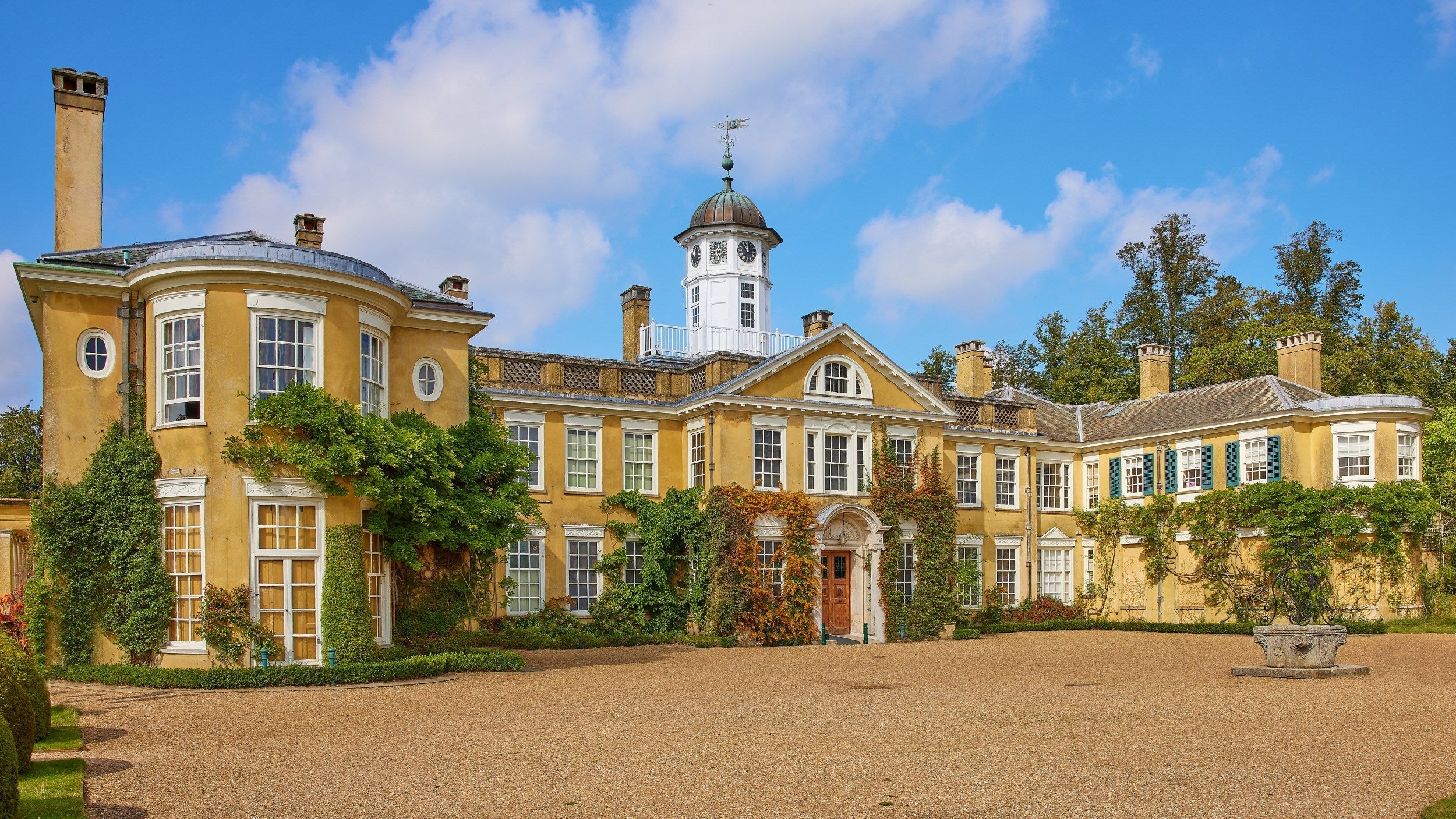 Luxury Roses Delivered in Surrey