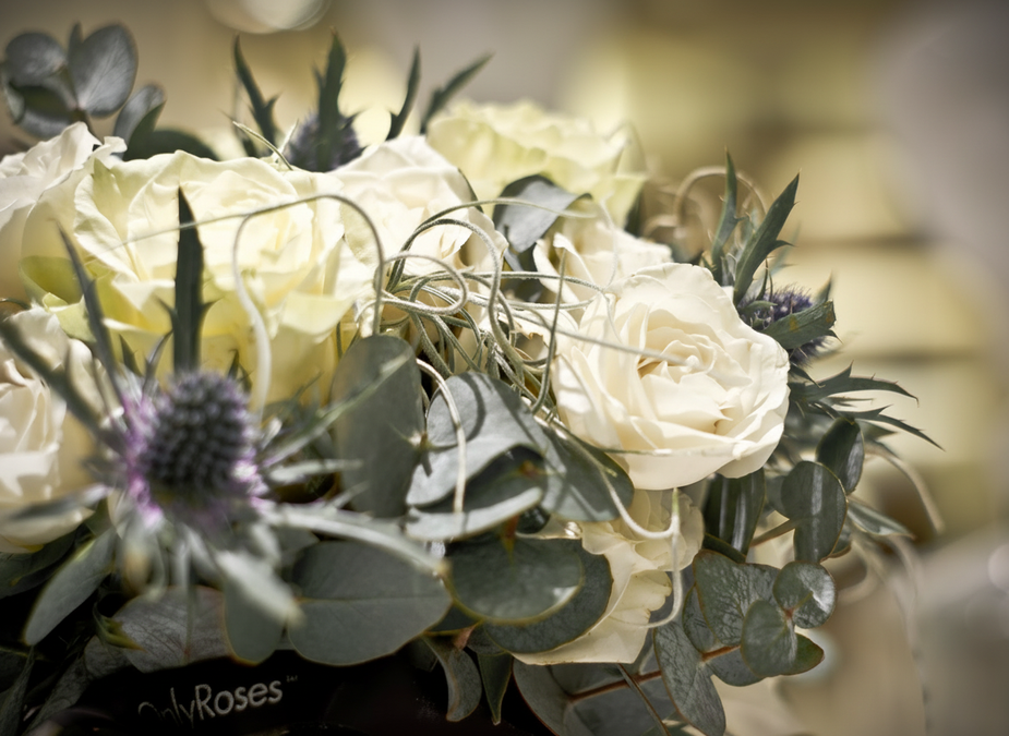 Symphathy Roses Sympathy Roses & Condolence Flowers Delivery | OnlyRoses