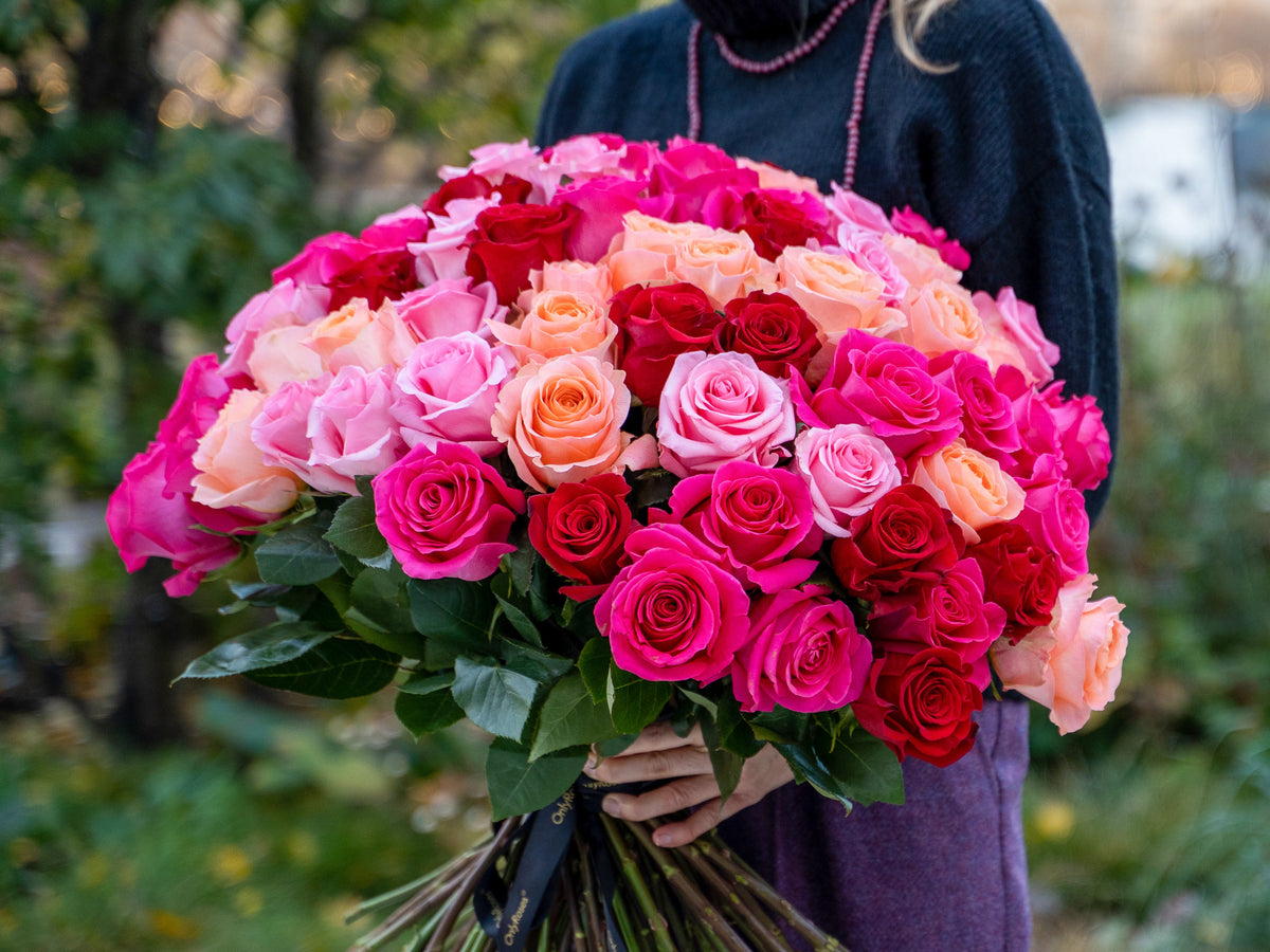 Luxury Roses by Colour