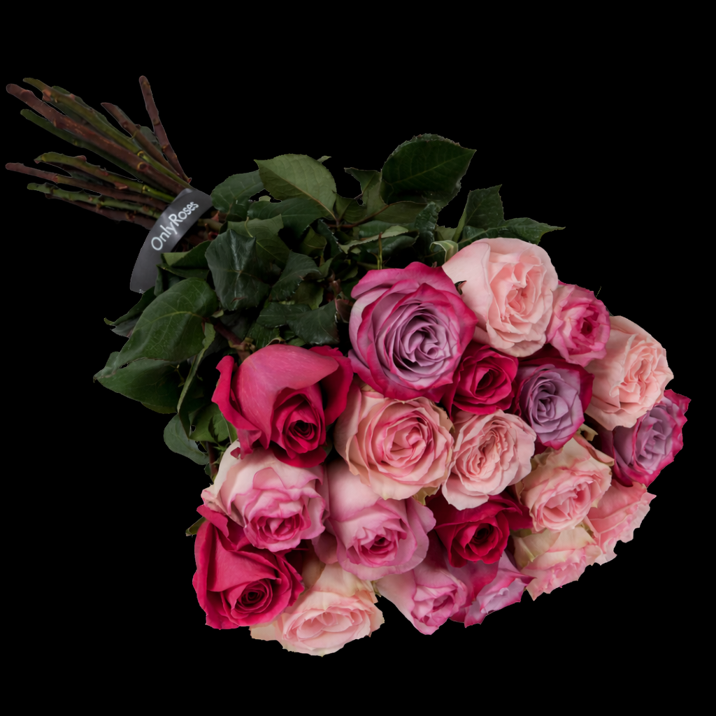 Bouquet of pink and red roses with green leaves on a black background