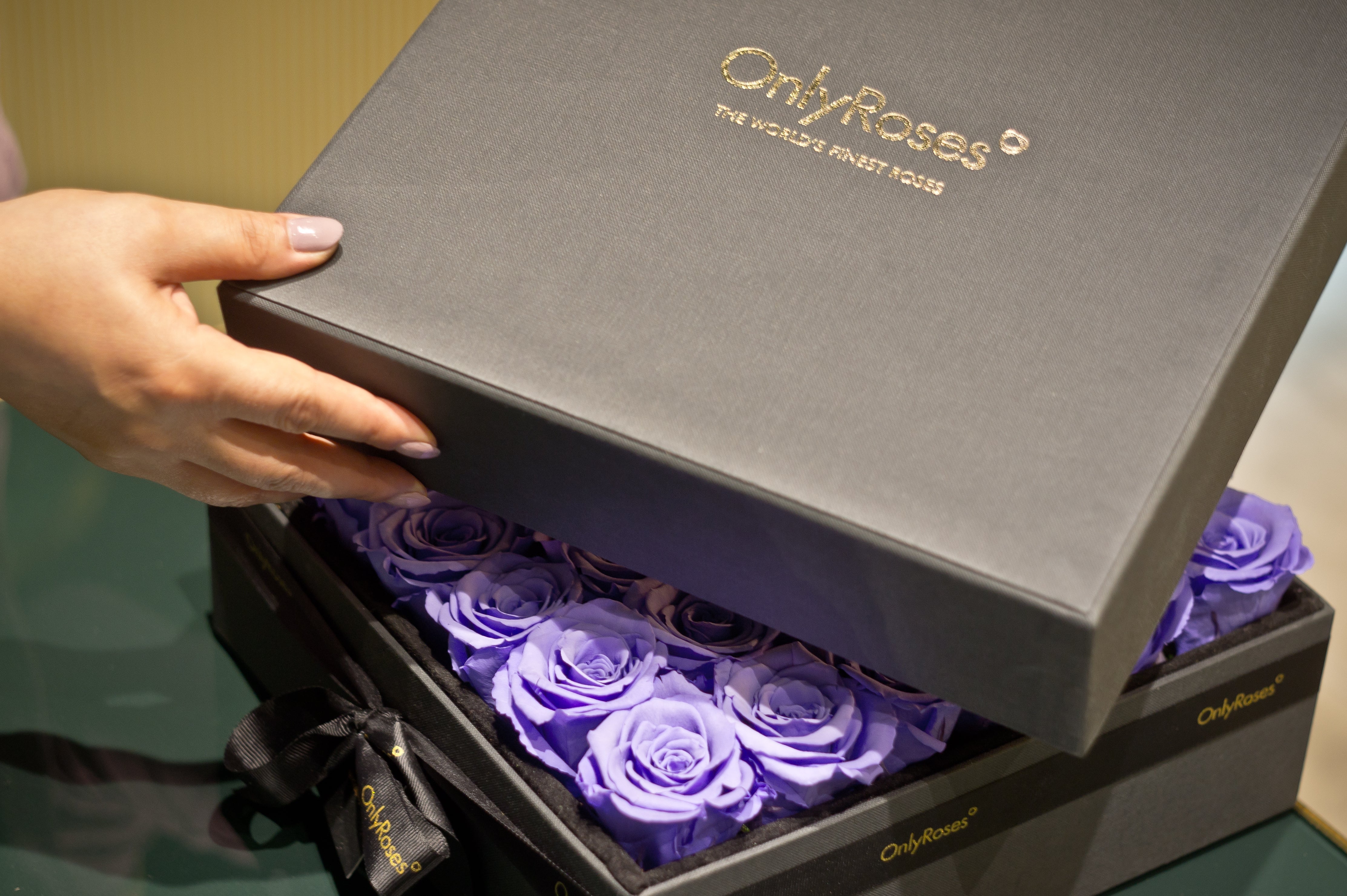 A black box with Violet roses being opened by a lady