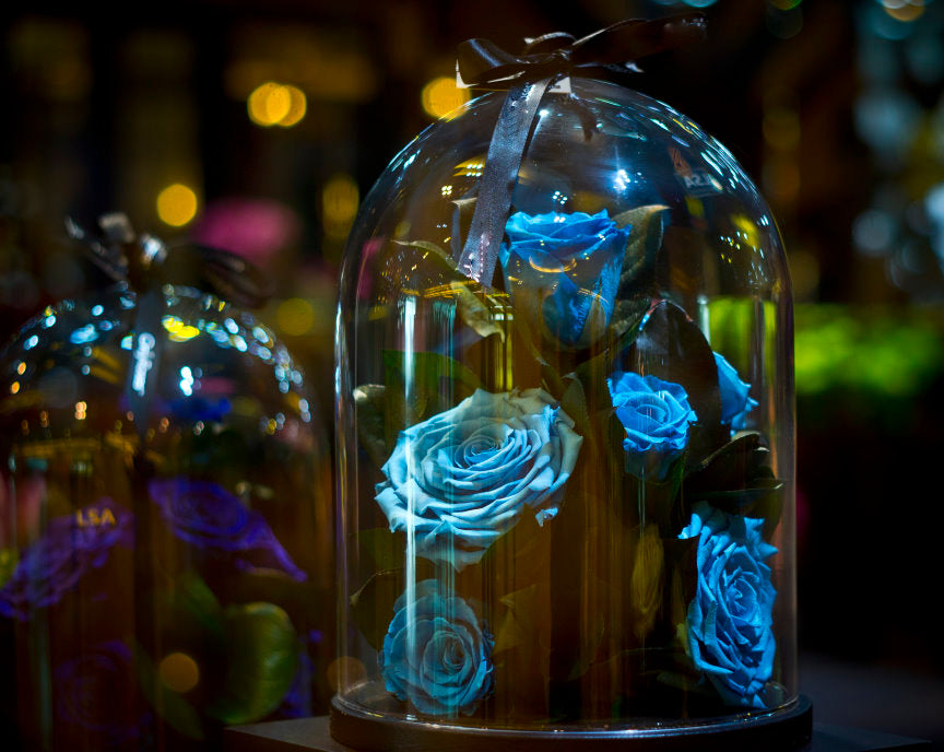 Blue glowing roses under a glass dome with a blurred background