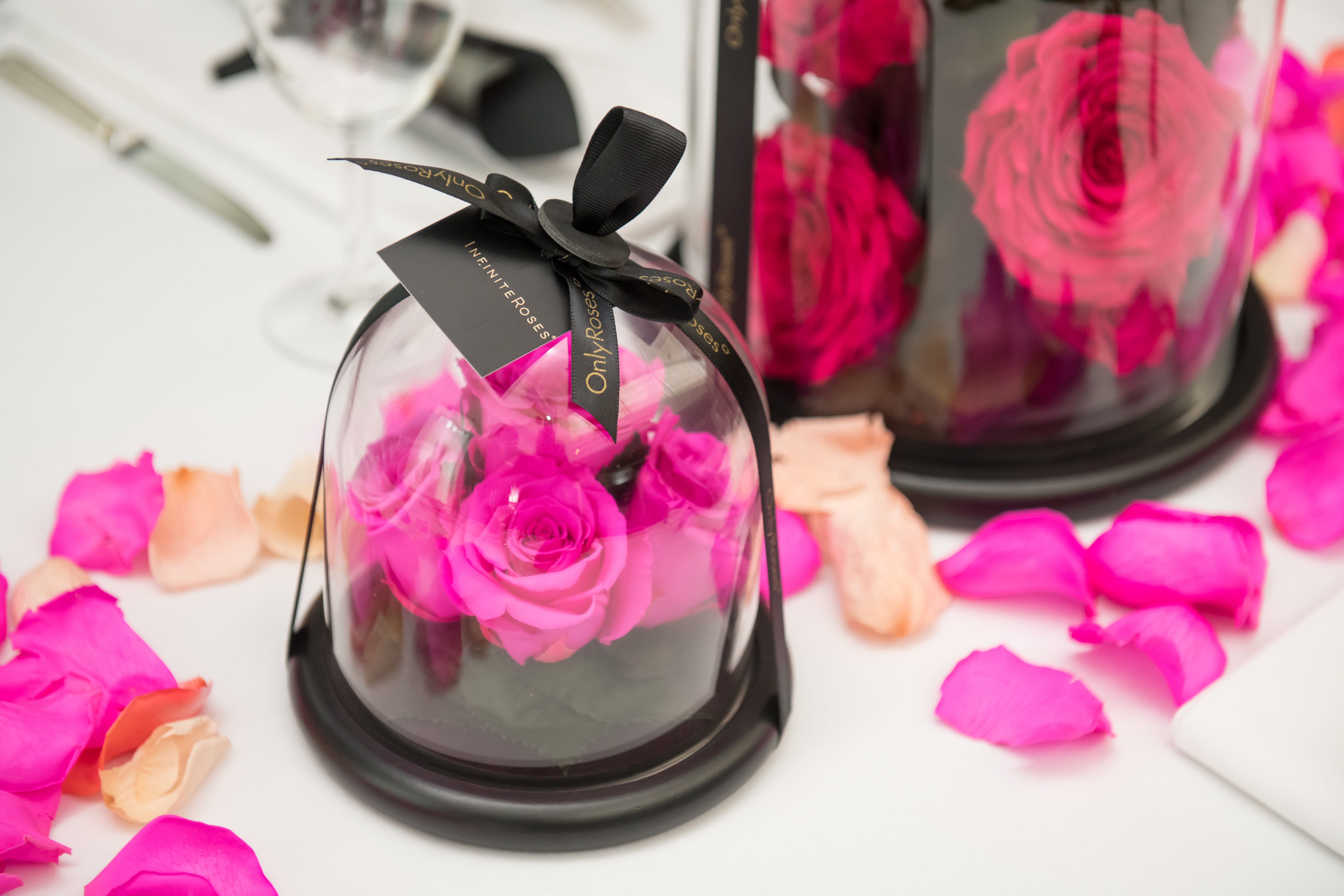 Pink roses in a glass dome with a black ribbon on a white surface.