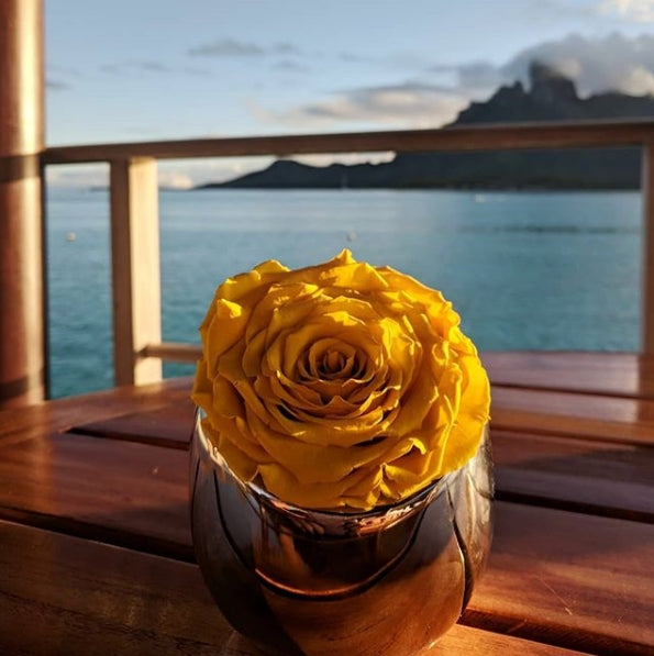 Yellow rose in a metallic vase on a wooden surface with a scenic background of water and mountains.