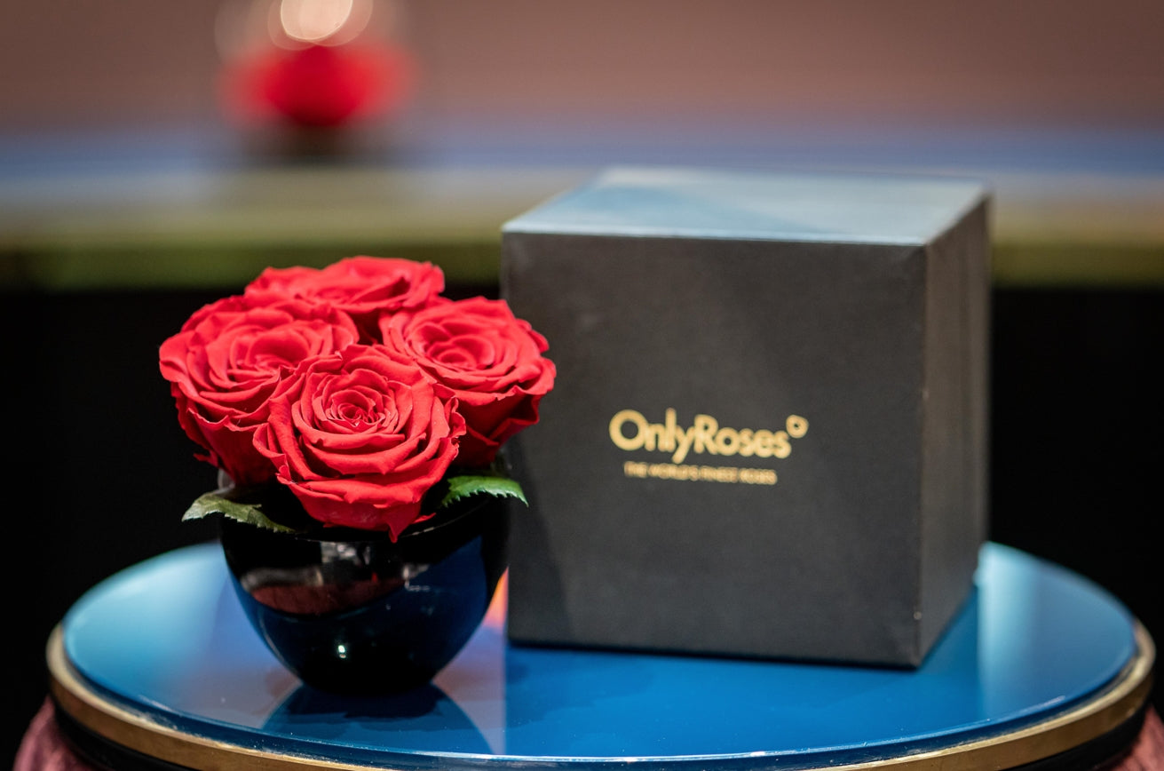 Red roses in a black vase next to an 'Only Roses' box on a blue surface.