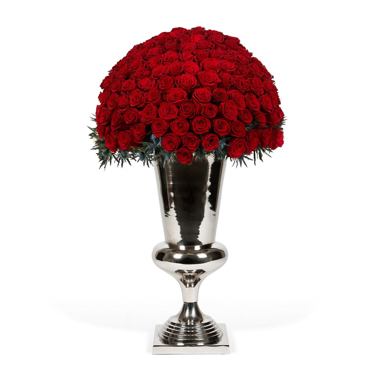 Valentines Classic Rose Coliseum - Red | OnlyRoses UK