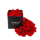 Black box filled with red rose petals and more petals on a white background, featuring 'Only Roses' branding.