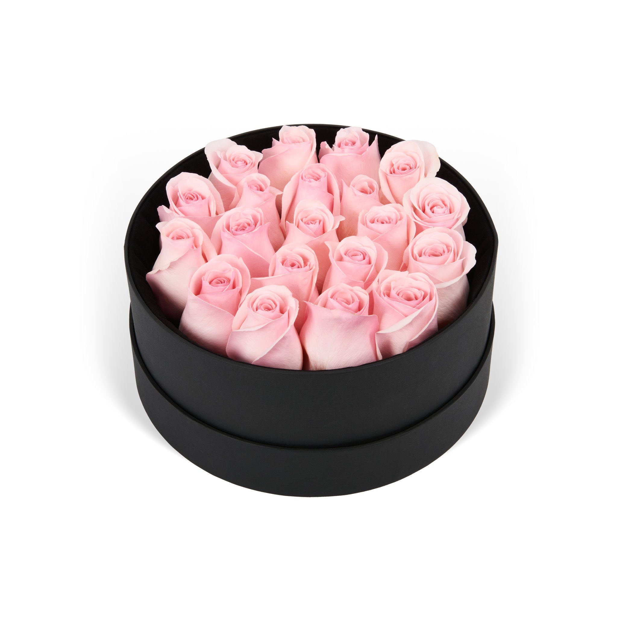 Black round box filled with pink roses on a white background