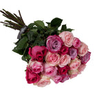 Bouquet of pink and red roses with green leaves on a white background