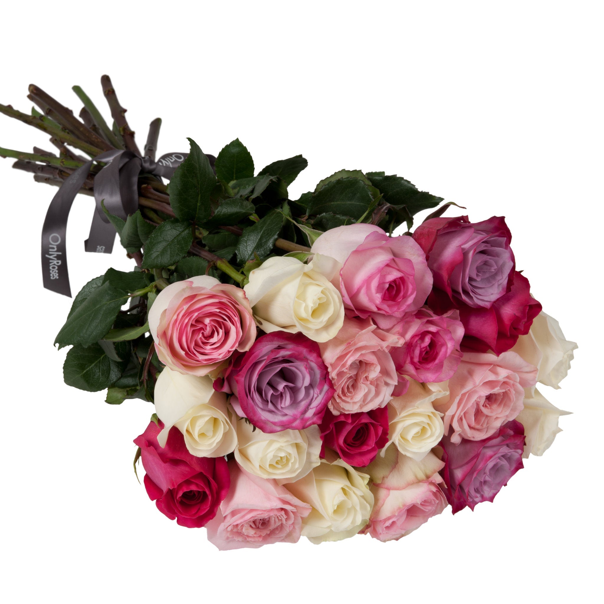 Bouquet of pink, white, and red roses with green leaves on a white background