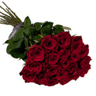 Bouquet of red roses with green leaves on a white background, featuring the 'Only Roses' brand.
