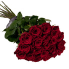 Bouquet of red roses with green leaves on a white background, featuring the 'Only Roses' brand.