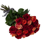 Bouquet of red and orange roses with green leaves on a white background