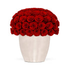 White vase filled with red roses on a white background