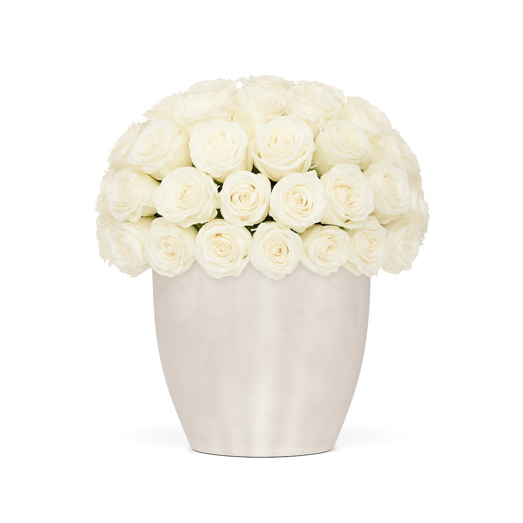 White vase filled with white roses on a white background