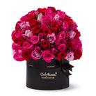 Assorted pink and red roses in a black box with 'Only Roses' branding on a white background.
