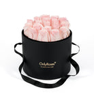 Black box with pink roses and 'Only Roses' branding on a white background