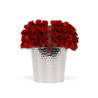Silver bucket with red roses on a white background
