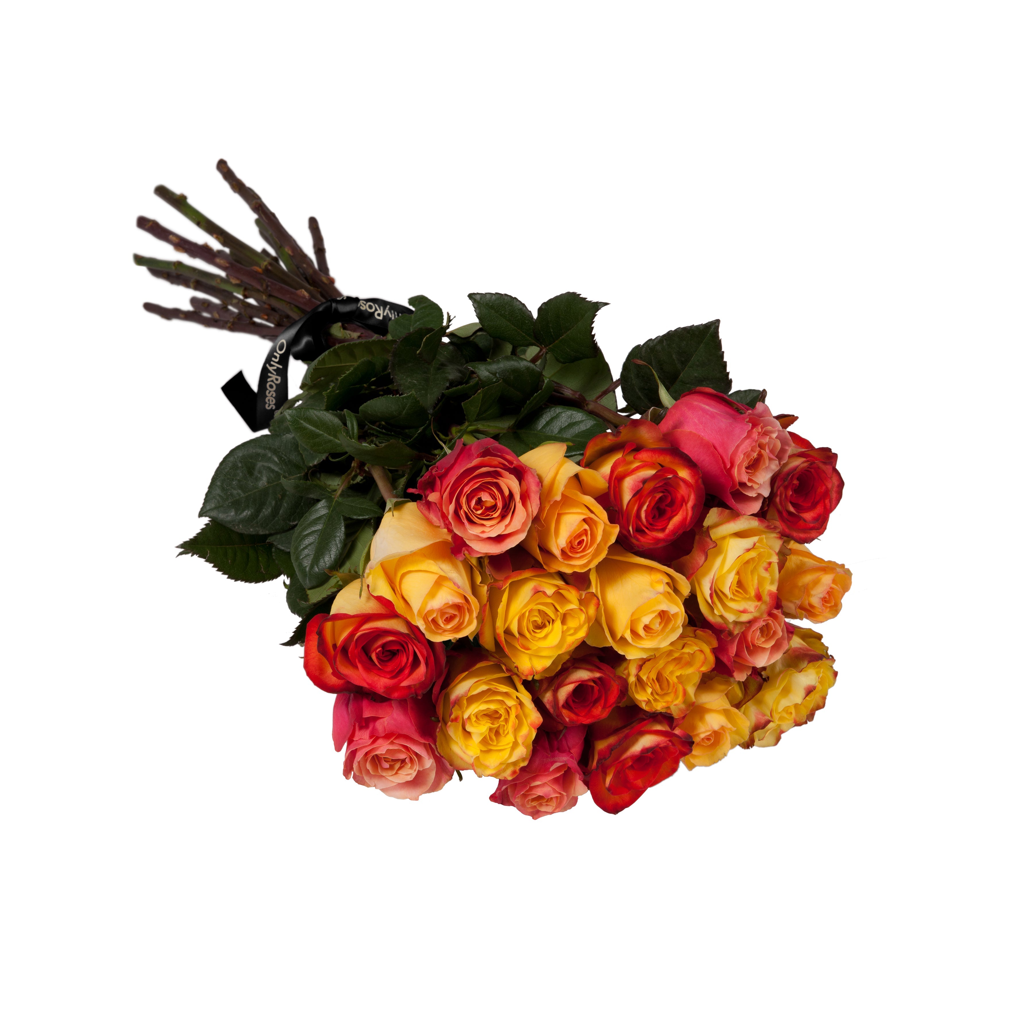 Bouquet of red and yellow roses with green leaves on a white background