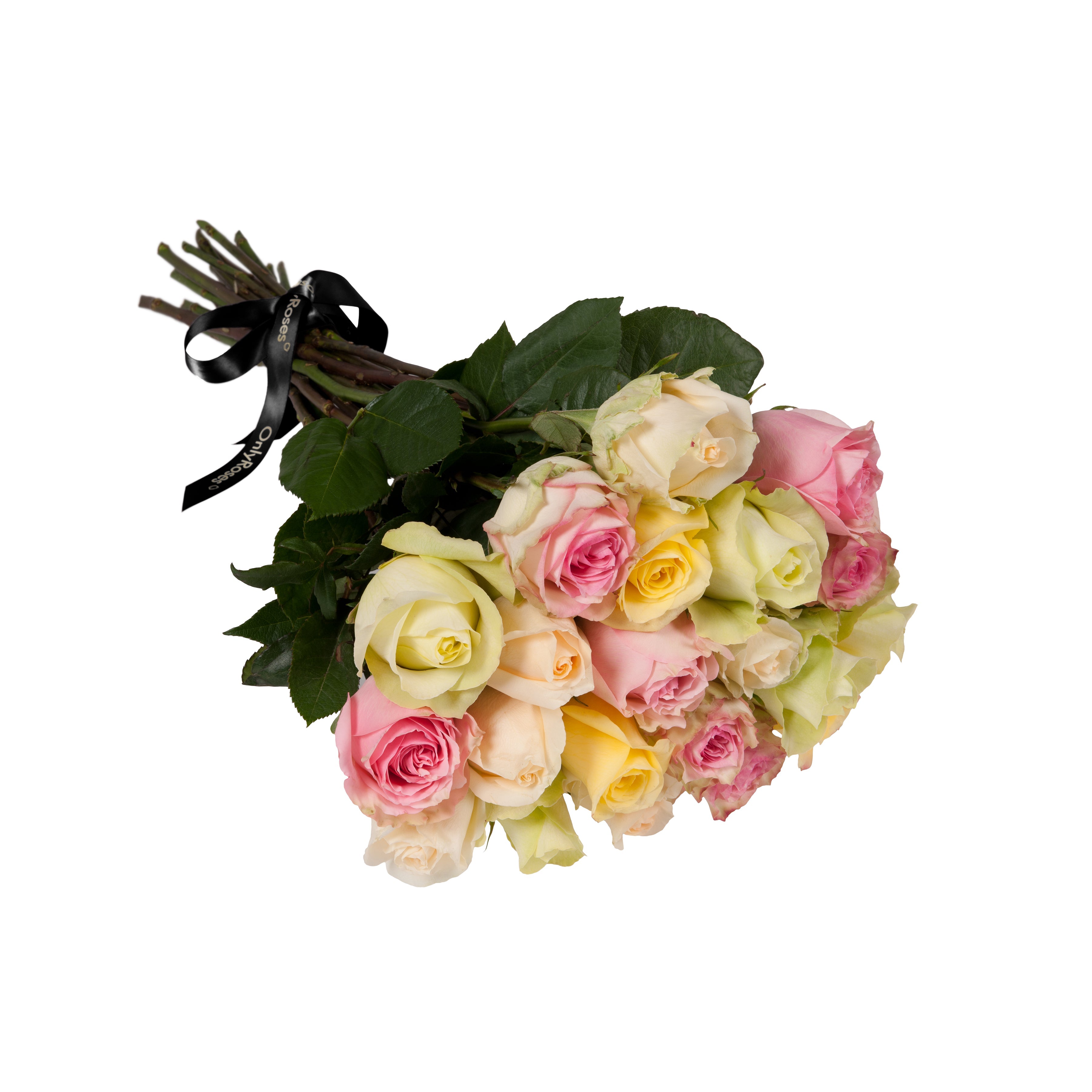 Bouquet of pastel-colored roses with a black ribbon on a white background