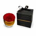 Red rose in a gold vase with a black box labeled 'Only Roses' on a white background