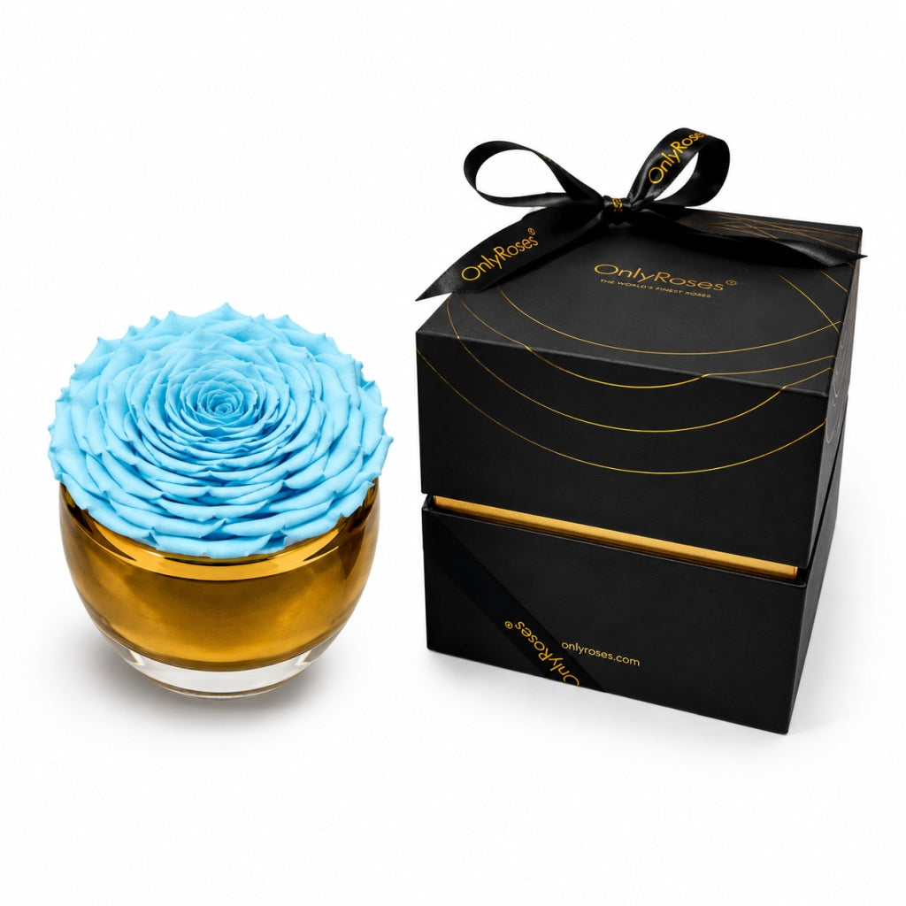 Blue rose in a glass vase with a black box labeled 'Only Roses' on a white background