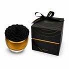 Black rose in a glass vase with a matching black box on a white background
