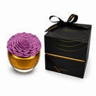 Purple rose in a glass vase with a black box labeled 'Only Roses' on a white background