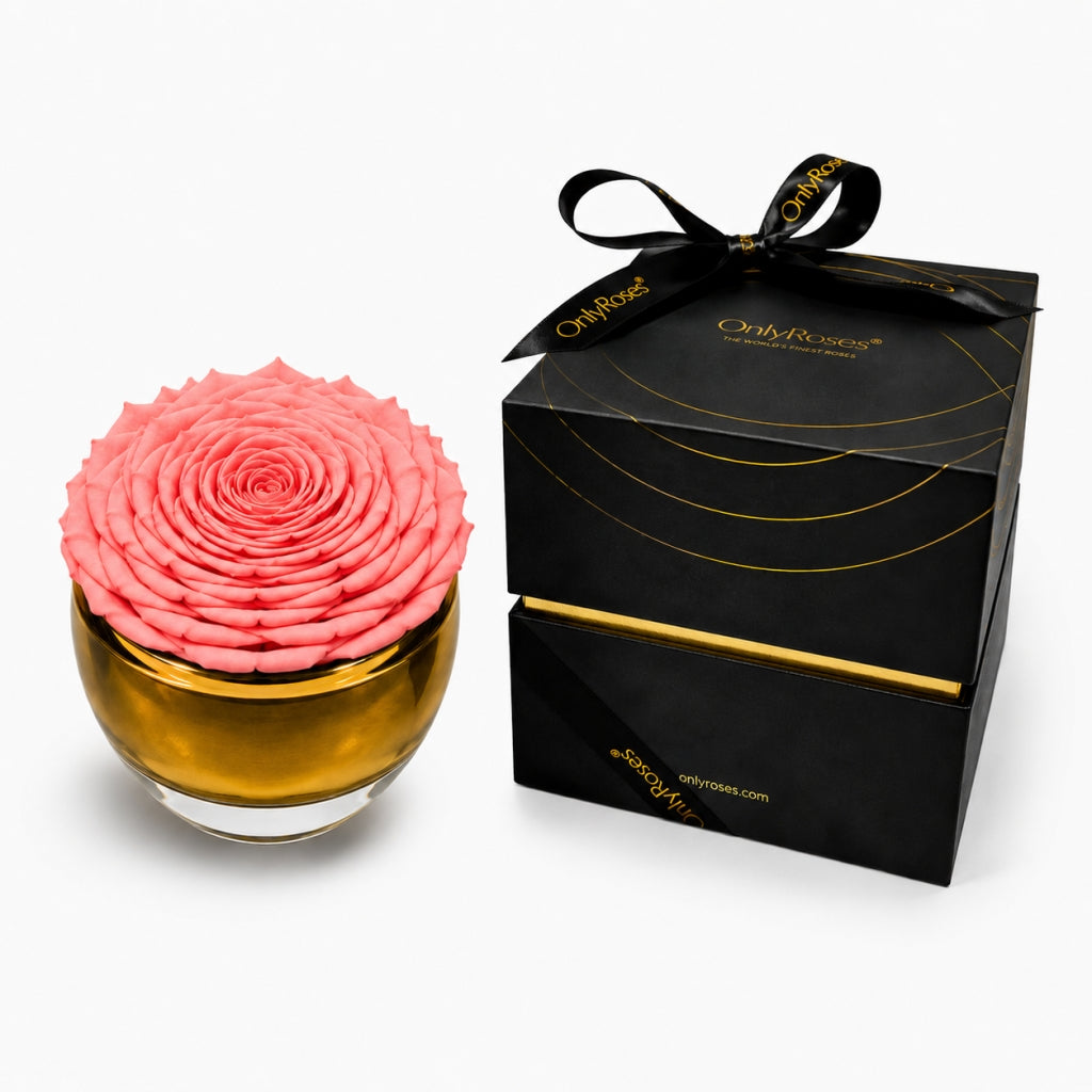 Pink rose in a gold vase with a black box labeled 'Only Roses' on a white background