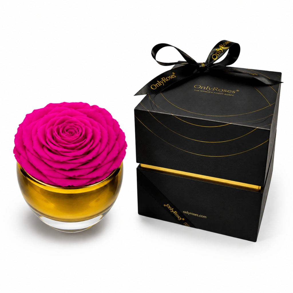 Pink rose in a glass container with a black box labeled 'Only Roses' on a white background
