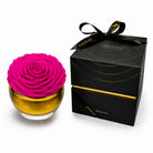 Pink rose in a glass container with a black box labeled 'Only Roses' on a white background