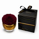 Maroon rose in a gold vase with a black box labeled 'OnlyRoses' on a white background