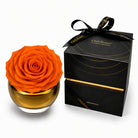 Orange rose in a glass vase next to a black gift box with 'Only Roses' branding.