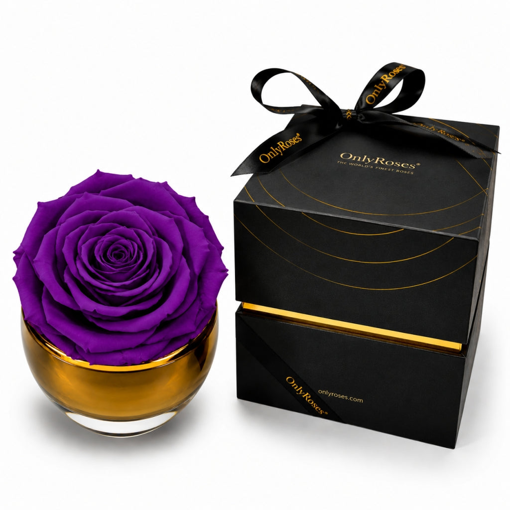 Purple rose in a gold container with a black box labeled 'OnlyRoses' on a white background