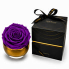 Purple rose in a gold container with a black box labeled 'OnlyRoses' on a white background