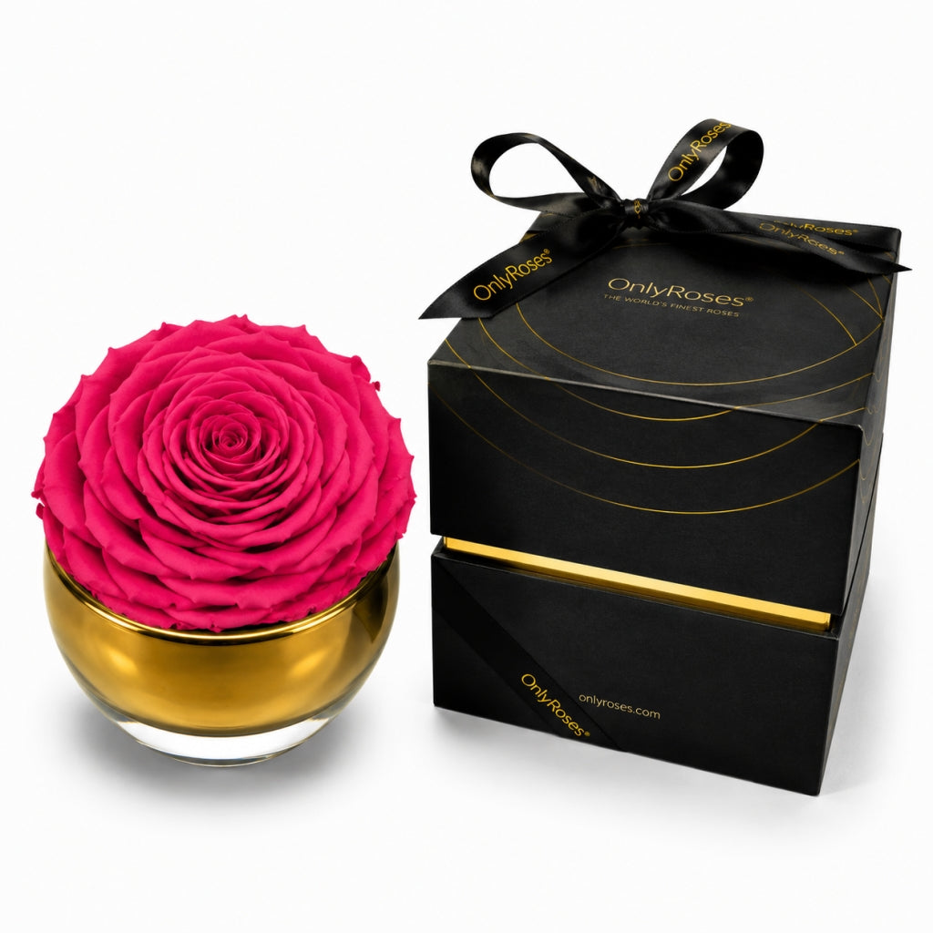 Pink rose in a gold container with a black box labeled 'Only Roses' on a white background