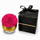Pink rose in a gold container with a black box labeled 'Only Roses' on a white background