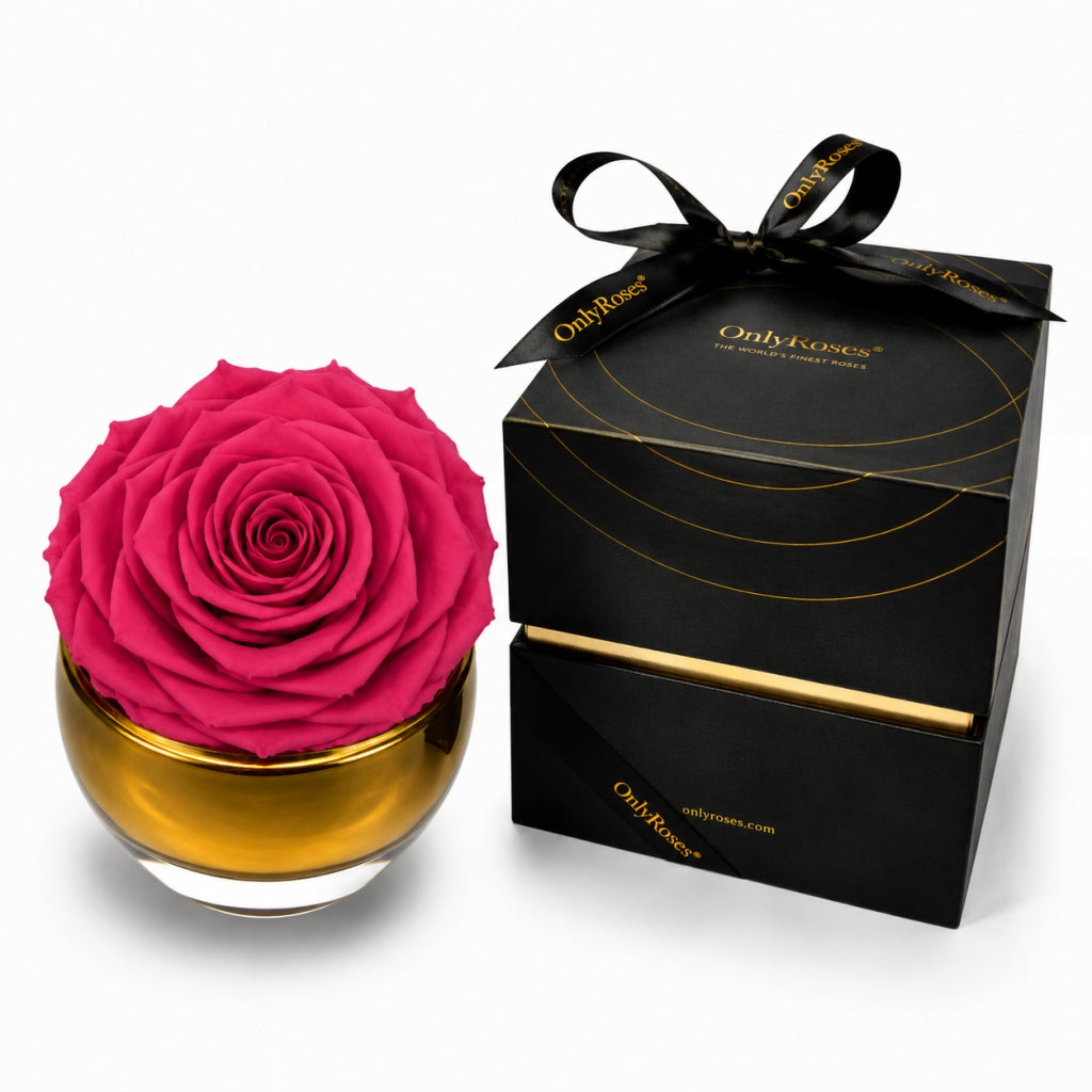 Pink rose in a gold vase next to a black gift box with 'Only Roses' branding.