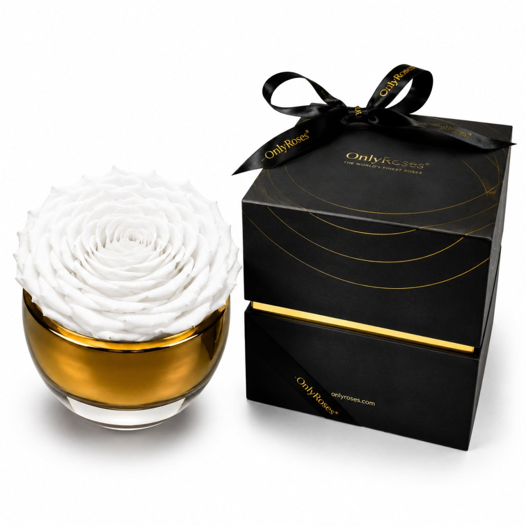 Glass container with white rose-like object and black gift box labeled 'Only Roses' on a white background