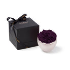 Purple rose in a white bowl with a black box featuring 'Only Moses' branding on a white background