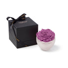 Purple rose in a white bowl with a black gift box featuring 'Only Moses' branding on a white background.