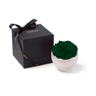 Dark green rose in a white vase with a black box featuring 'Only Roses' branding on a white background.