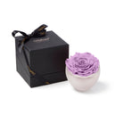 Purple rose in a white bowl with a black box featuring 'Only Moses' branding on a white background