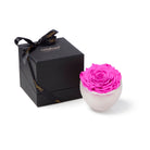 Pink rose in a white bowl with a black box featuring 'Only Moses' branding on a white background