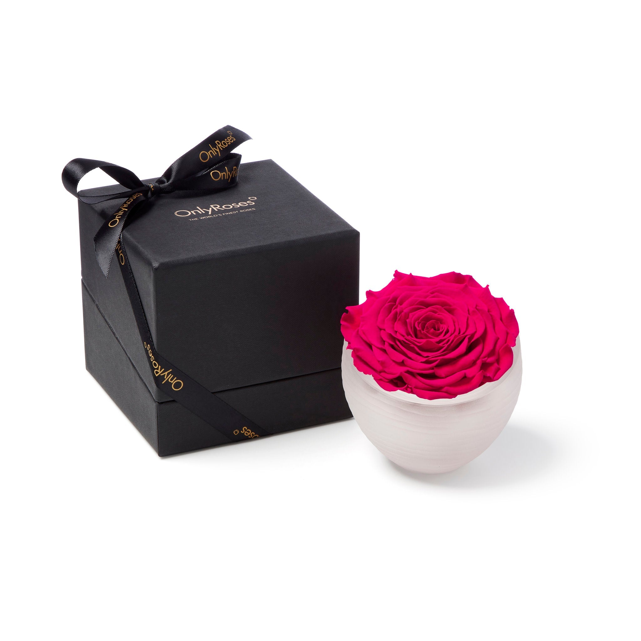 Pink rose in a white vase next to a black gift box with 'Only Roses' branding on a white background