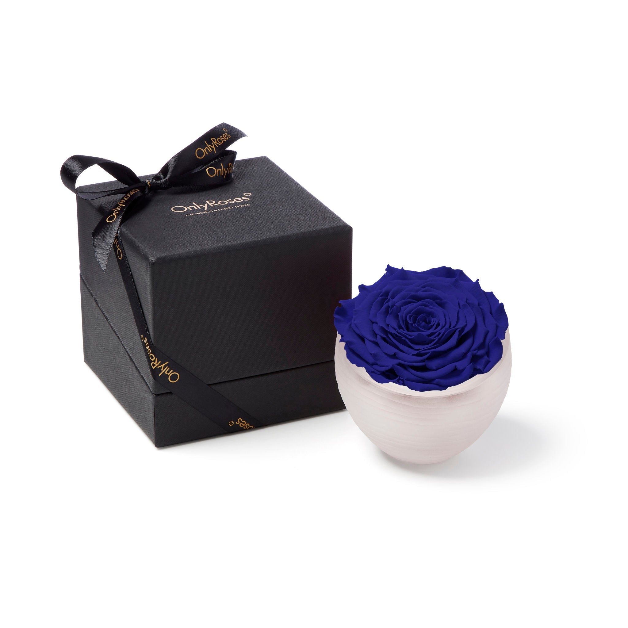 Blue rose in a white vase next to a black gift box with 'Only Roses' branding on a white background